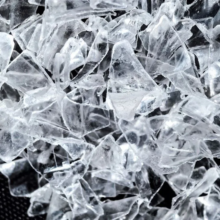 Fulgi rpet și animale de companie